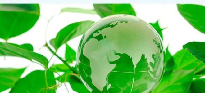 Особенности и характеристики натяжных потолков ecofolie