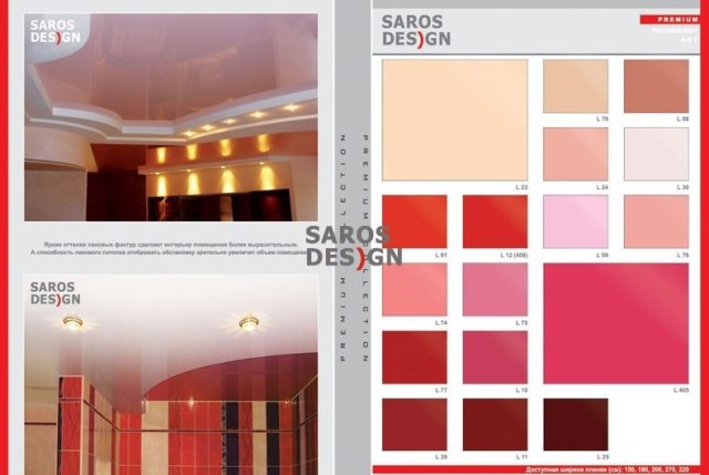 saros2